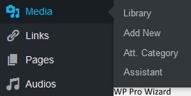 WP Pro Wizard as Something New