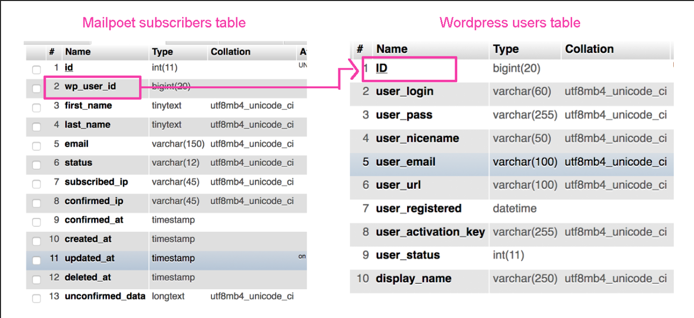 Connection Between Mailpoet and Wordpress Tables